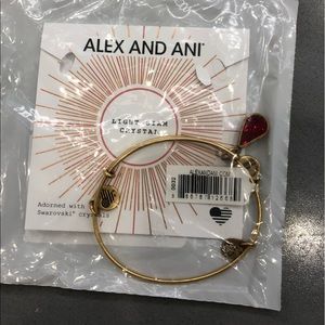 NWT Alex & Ani Birthstone Bracelet